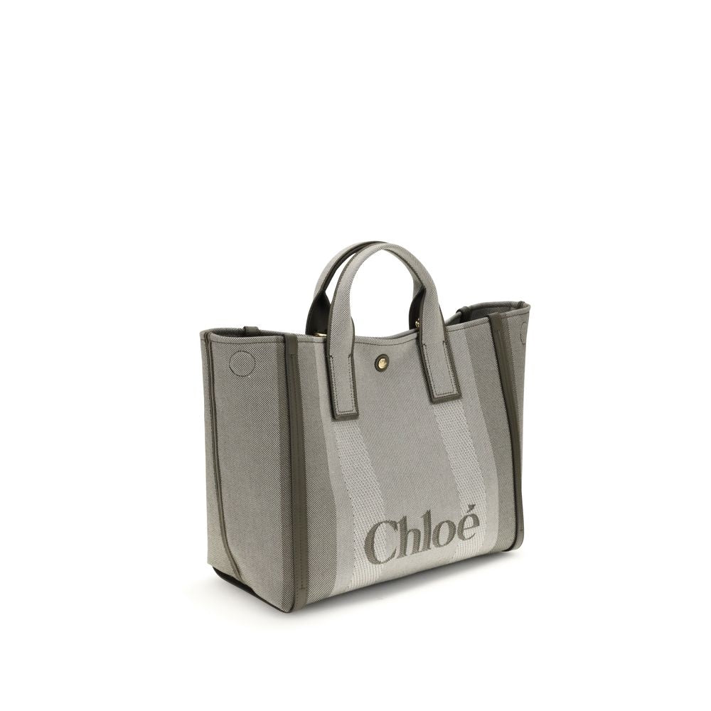 Carry Handbag